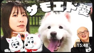 YouTube発信×バス広告で認知拡大へ